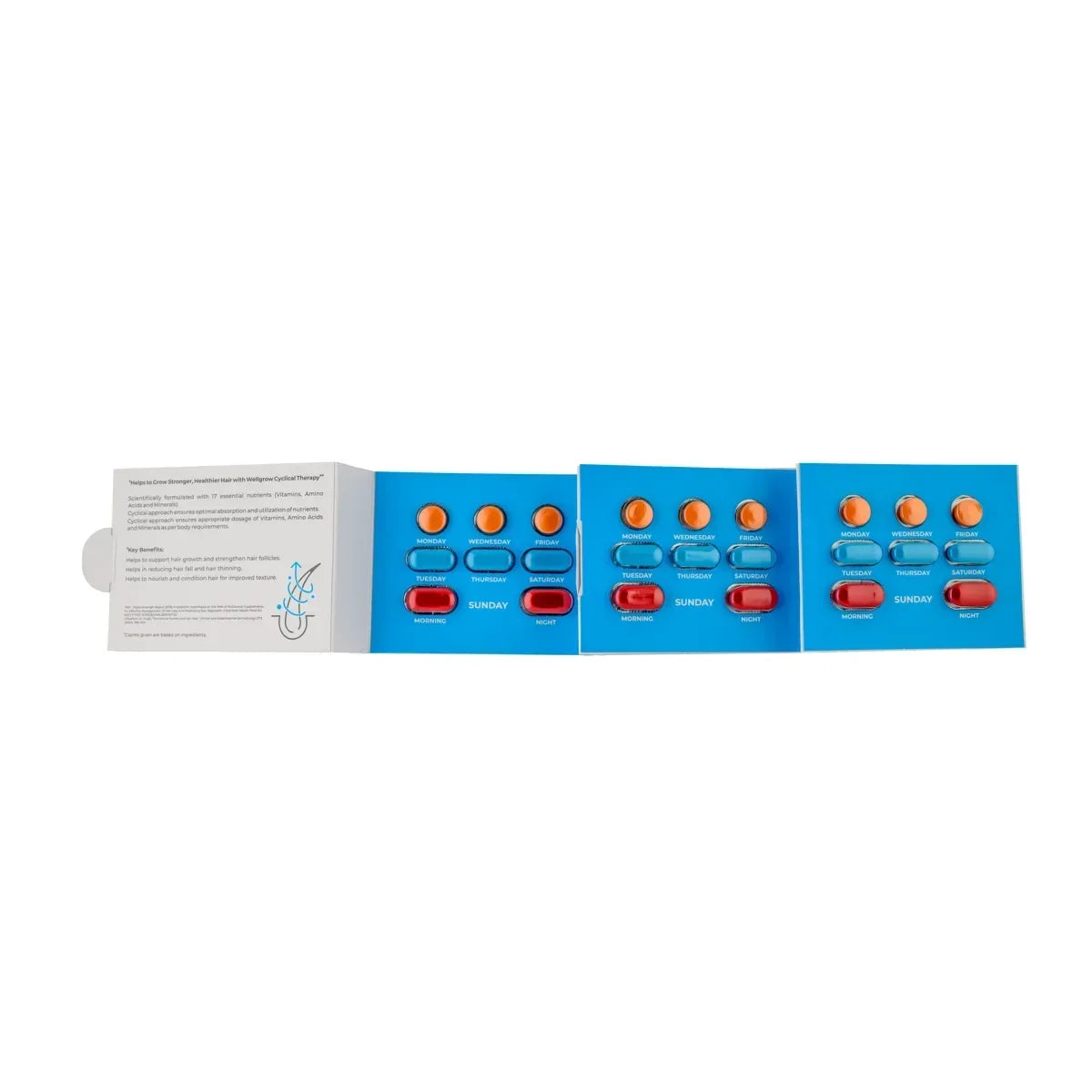 Wellgrow Hair Growth Tablets for Men | 32 Tablets